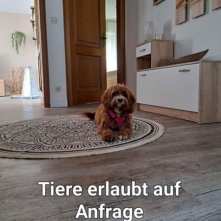 Ferienwohnung Blumenau Schmallenberg Luaran gambar