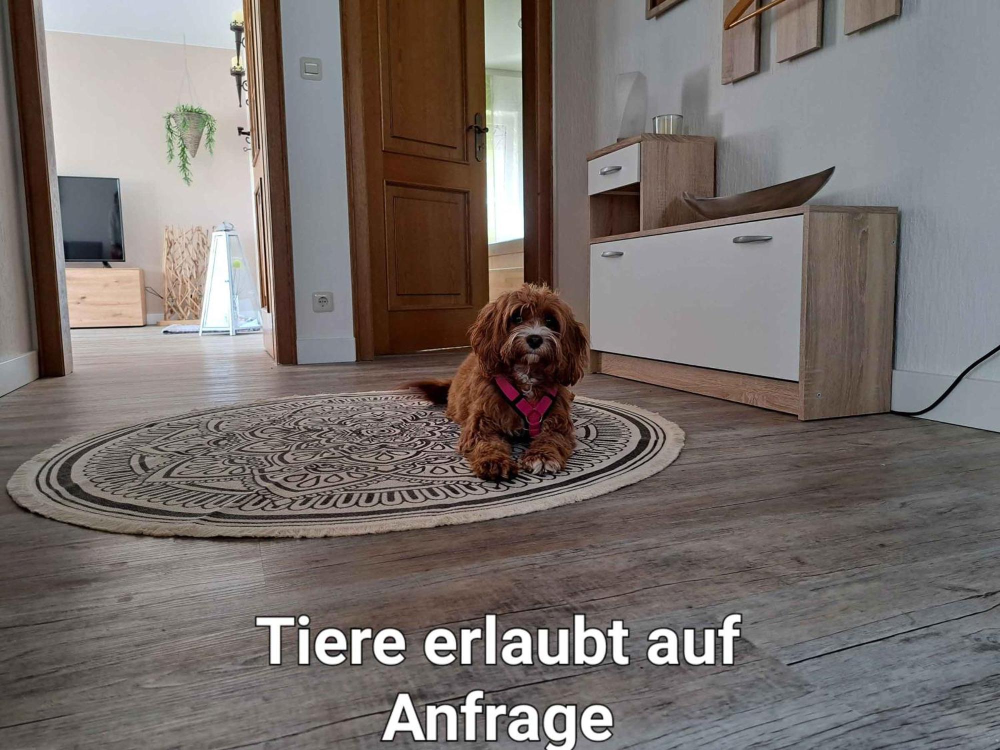 Ferienwohnung Blumenau Schmallenberg Luaran gambar